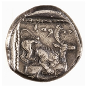 Οπισθότυπος 'SilCoinCy A7667, Loan at the Metropolitan Museum of Art, acc.no.: 1944.100.57961. Silver coin of king Ozibaal of Kition 450 - 425 BC. Weight: 11.061999999999999g, Axis: 3h, Diameter: -. Obverse type: Heracles advancing r. holding club. Obverse symbol: -. Obverse legend: - in -. Reverse type: lion devouring stag r. within incuse square. Reverse symbol: -. Reverse legend: [l]'zb'l in Phoenician.