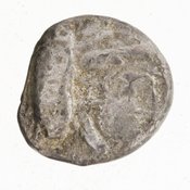 Εμπροσθότυπος 'SilCoinCy A7083, E.T. Newell coll., acc.no.: 1944.100.57973. Silver coin of king Uncertain king of Kition of Kition 525 - 480 BC. Weight: 1g, Axis: 9h, Diameter: 9mm. Obverse type: Heracles hd. r.. Obverse symbol: -. Obverse legend: - in -. Reverse type: lion devouring stag r. within incuse square. Reverse symbol: -. Reverse legend: - in -.