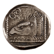 Reverse 'SilCoinCy A7679, acc.no.: 1944.100.58009. Silver coin of king Pny (-) of Paphos 500 - 480 BC. Weight: 10.938000000000001g, Axis: 6h, Diameter: -. Obverse type: bull stg. l.. Obverse symbol: -. Obverse legend: - in -. Reverse type: eagle's hd. l. within incuse square. Reverse symbol: -. Reverse legend: - in -.