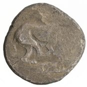 Εμπροσθότυπος 'SilCoinCy A7141, Gunther, C. Godfrey, acc.no.: 1951.116.116. Silver coin of king Sasmas of Marion 450 BC - . Weight: 10.71g, Axis: 5h, Diameter: 24mm. Obverse type: lion advancing r. licking forepaw, in ex. scroll pattern. Obverse symbol: -. Obverse legend: - in -. Reverse type: Phrixus striding l. beside ram, within incuse square ; double axis on the field l.. Reverse symbol: Double axis. Reverse legend: - in -.