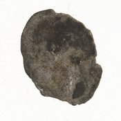 Οπισθότυπος 'SilCoinCy A7697, acc.no.: 1951.116.251. Silver coin of king Evagoras I of Salamis 411 - 374 BC. Weight: .27900000000000003g, Axis: -, Diameter: -. Obverse type: male hd. r.. Obverse symbol: -. Obverse legend: - in -. Reverse type: smooth. Reverse symbol: -. Reverse legend: - in -.