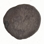 Οπισθότυπος 'SilCoinCy A7696, Gunther, C. Godfrey, acc.no.: 1951.116.257. Silver coin of king Evagoras I of Salamis 411 - 374 BC. Weight: .20699999999999999g, Axis: -, Diameter: 7mm. Obverse type: male hd. r.. Obverse symbol: -. Obverse legend: - in -. Reverse type: smooth. Reverse symbol: -. Reverse legend: - in -.