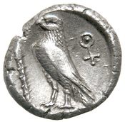 Reverse 'SilCoinCy A7681, acc.no.: 1956.92.1. Silver coin of king Stasandros of Paphos 460 - ?. Weight: 6.6319999999999997g, Axis: 5h, Diameter: -. Obverse type: bull stg. l., winged solar disk (?) above. Obverse symbol: -. Obverse legend: - in -. Reverse type: eagle stg. l.. Reverse symbol: -. Reverse legend: - in -.
