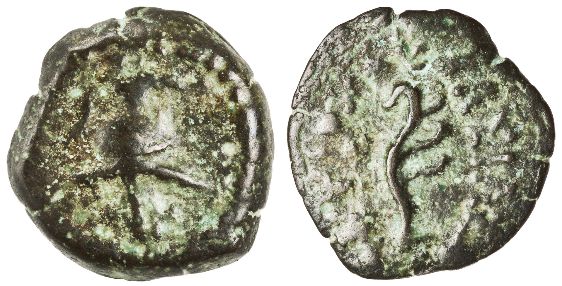 Seleucid Coins Online as a Clearinghouse for New Information