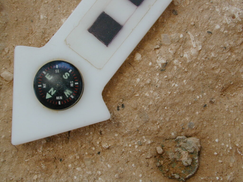 Figure 4. While artifacts from the same context are documented collectively, coins are uniquely documented in situ during stratigraphic excavations, such as this example from the Roman fort at Yotvata. Photo courtesy of Jim Haberman. 
