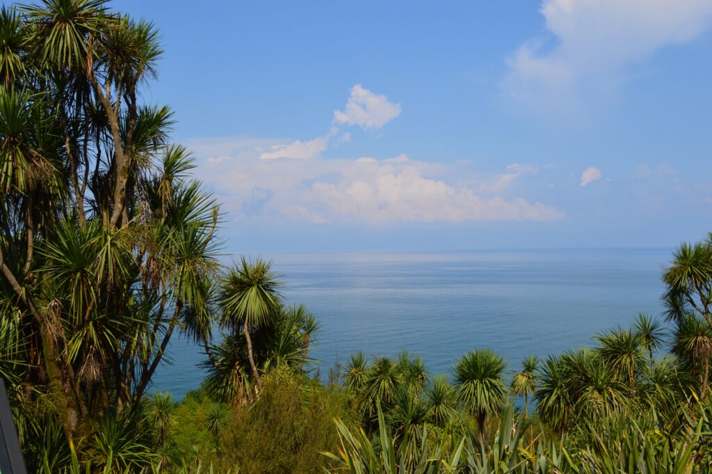 View of the Black Sea from the Batumi Botanical Gardens