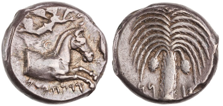 Fig. 4. Siculo-Punic silver tetradrachm with palm tree reverse. ANS 1944.100.79692.