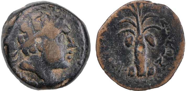 Fig. 7. Seleukid bronze coin of Tyre under Antiochos III with palm tree reverse. ANS 1944.100.77360.